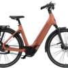 Elektrische ebike merk vyber xcite kleur electric peah met een robuuste frame rechte zithouding