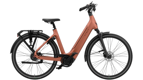 Elektrische ebike merk vyber xcite kleur electric peah met een robuuste frame rechte zithouding